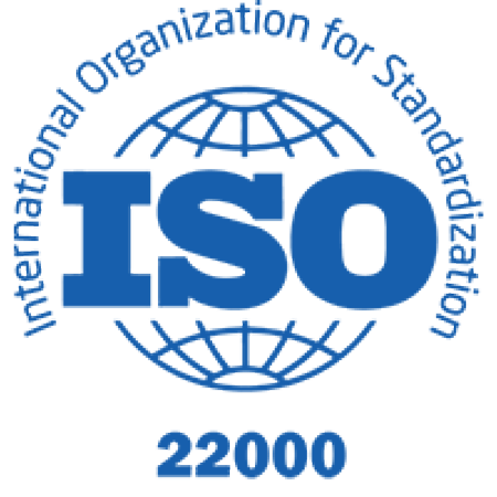 ISO Logo